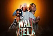 Snocke Abashitina Mic ft Flex ZM & Slim Wakumawa - Wali Ibela Mp3 Download