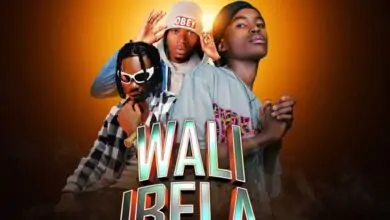 Snocke Abashitina Mic ft Flex ZM & Slim Wakumawa - Wali Ibela Mp3 Download