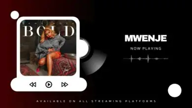 Tamy Moyo - Mwenje Mp3 Download