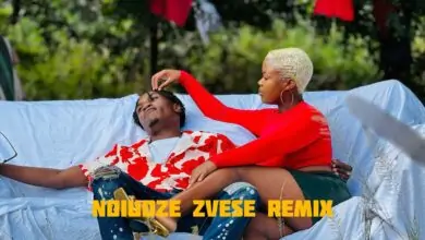 Chillmaster - Ndiudze Zvese Remix Mp 3 Download