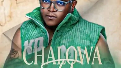 D Bwoy – Chalowa Teh Mp3 Download 