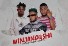 Ray Dee Ft B Quan & Pap Chizy - Winjangusha Mp3 Download